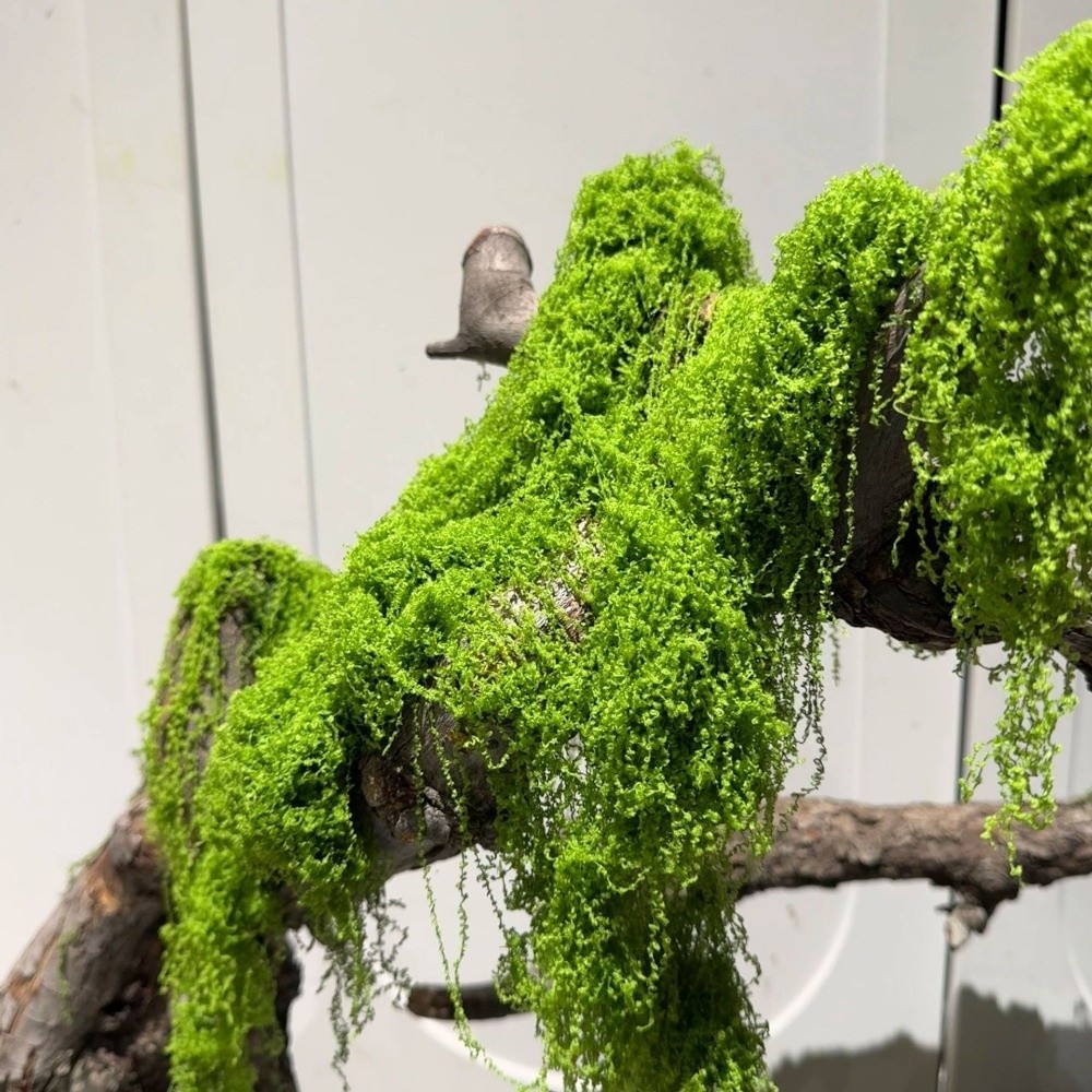 Terrarium Moss Art - Plantes artificielles en polyester, mousse de