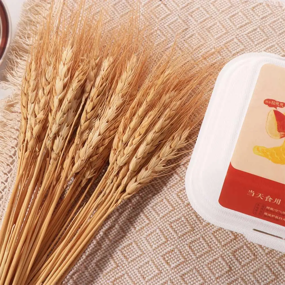 50 tiges de blé séchées artifi - Dried Flower Bulk avis et prix