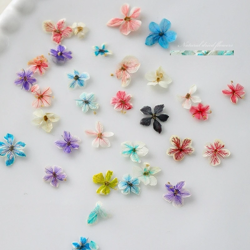 1 pièces été dégradé Floral Na - Dried Flower Bulk avis et prix