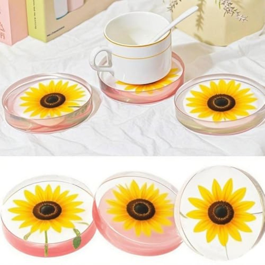 Moule en silicone à 6 cavités  - Coaster Mold Round avis et prix